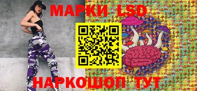 кокс Донской