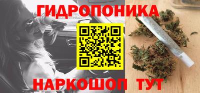 кокс Донской