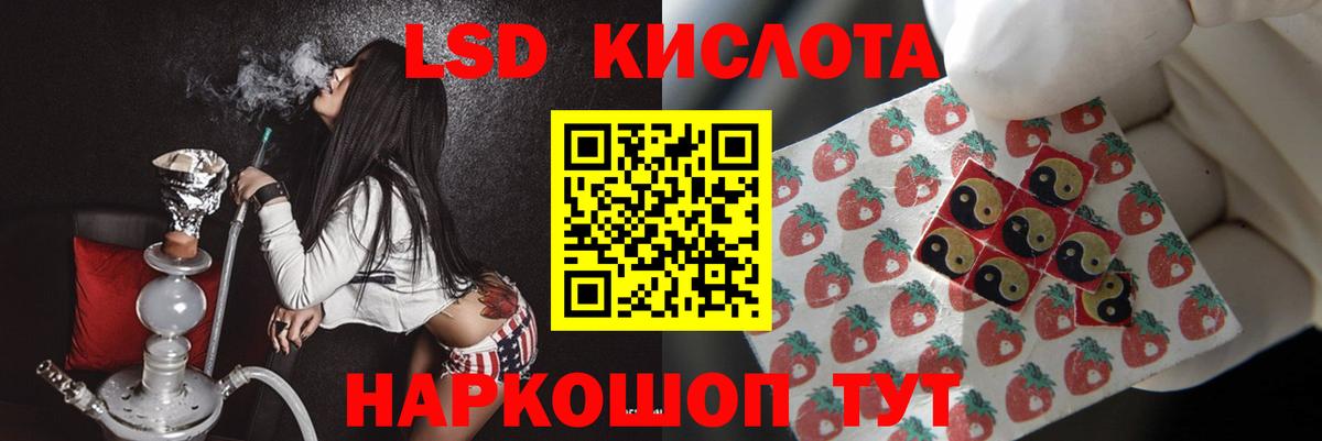Галлюциногенные грибы Муравленко
